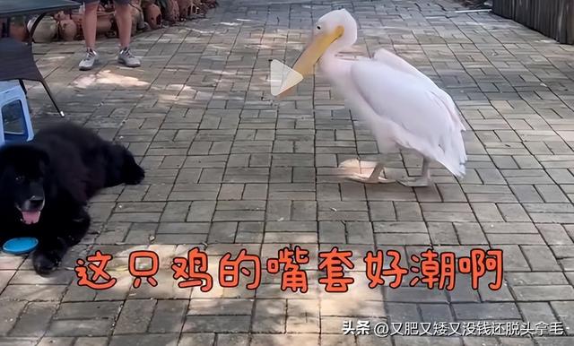 醍醐灌顶是什么意思,醍醐灌顶是什么意思解释