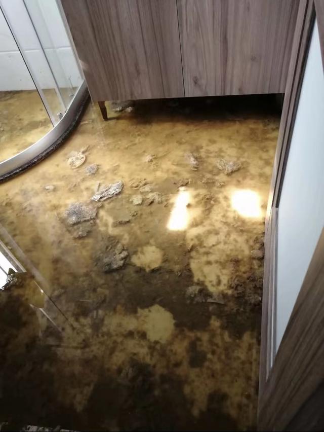 新楼盘二楼还存在下水管堵吗，二楼卫生间粪水倒灌解决办法