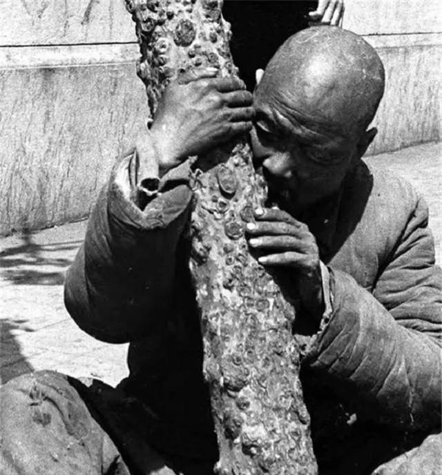 慕风蘑菇在哪里采集蒙德，慕风蘑菇在哪里采集的