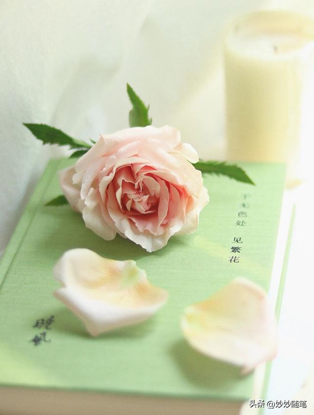 标题怎么写吸引人抖音文案，标题怎么写吸引人抖音视频