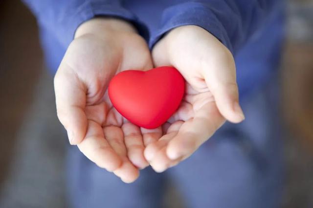 仓廪之官是哪个脏腑,十二脏腑的官职口诀