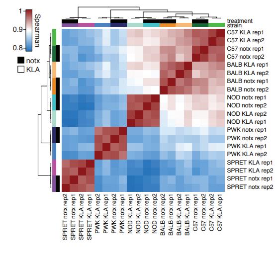 4个图形名称图片,初中数学图形与几何知识点总结"