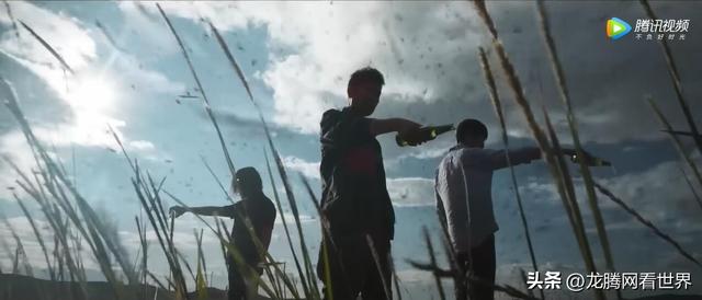 ap论坛，it论坛app