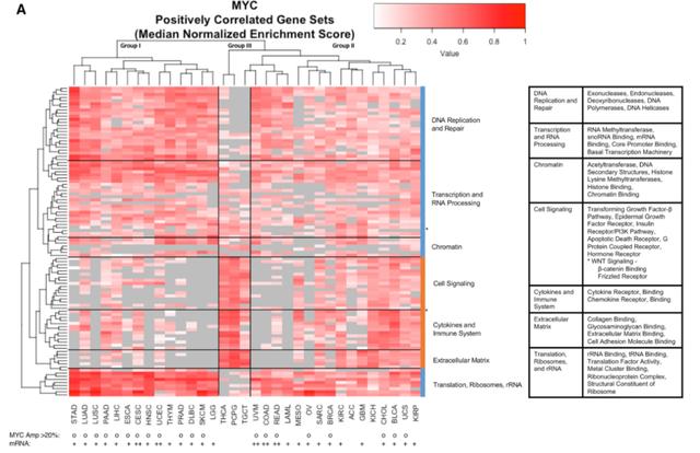 4个图形名称图片,初中数学图形与几何知识点总结"
