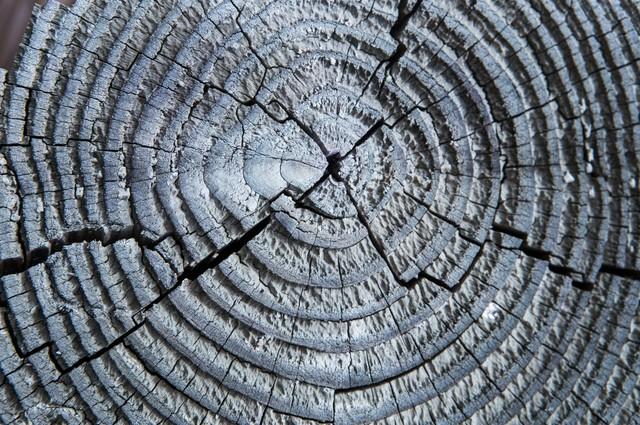 你们的婚姻处于什么阶段？