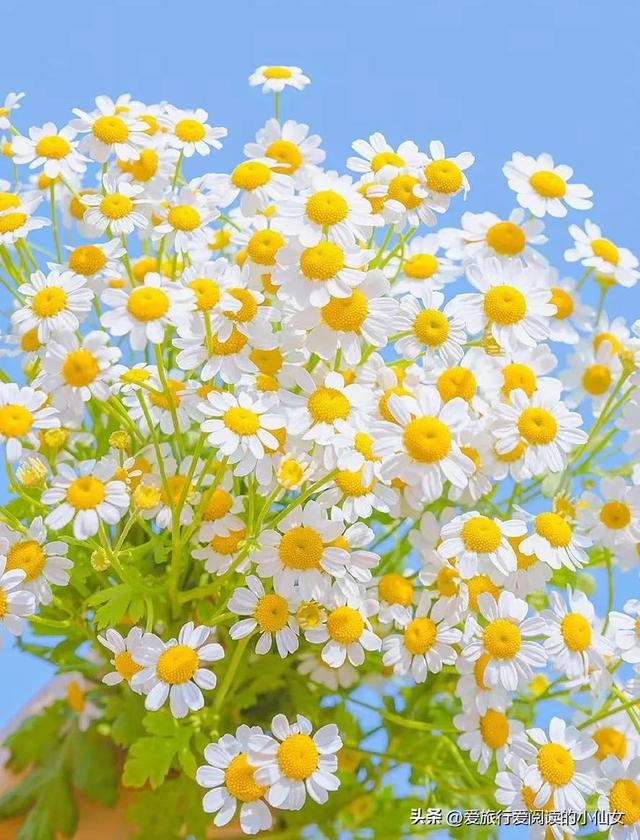 蚂蚁森林能量9.7kg怎么来的，每天3个296g能量怎么弄