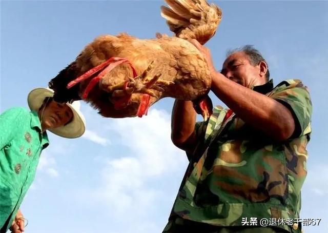 薄爱是什么意思，薄爱是什么意思网络用语