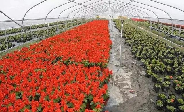 一个人做暴利行业怎么样赚钱，个人可做的暴利行业排行榜