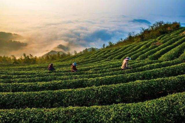 春日井祛痘有用吗，春日井眼部护理液怎么样