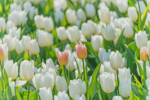 杭州服装批发市场有哪些,杭州服装批发市场有哪些地方