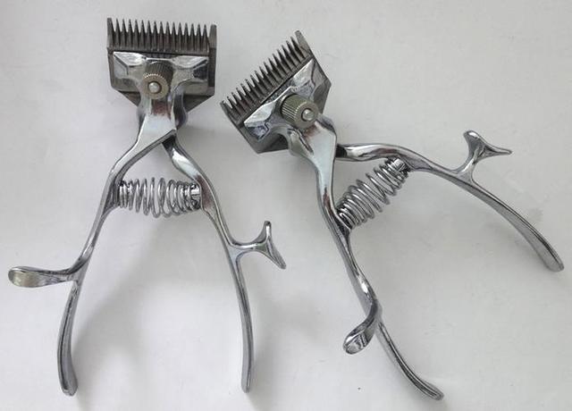 收藏品，收藏品交易平台app