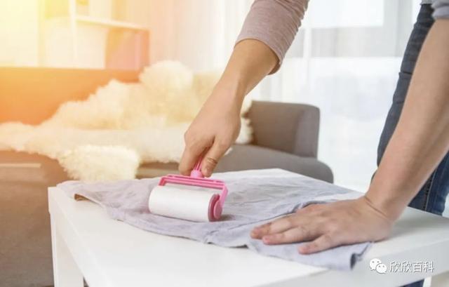 养殖业什么最赚钱农村,养殖业什么最赚钱农村招商加盟