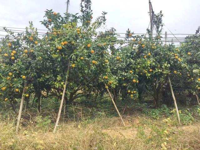 什么软件可以找客户资源,找客户的软件有哪些