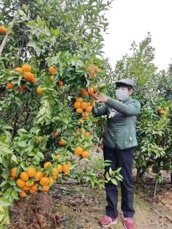 什么软件可以找客户资源,找客户的软件有哪些