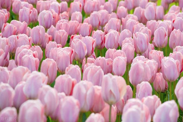 杭州服装批发市场有哪些,杭州服装批发市场有哪些地方