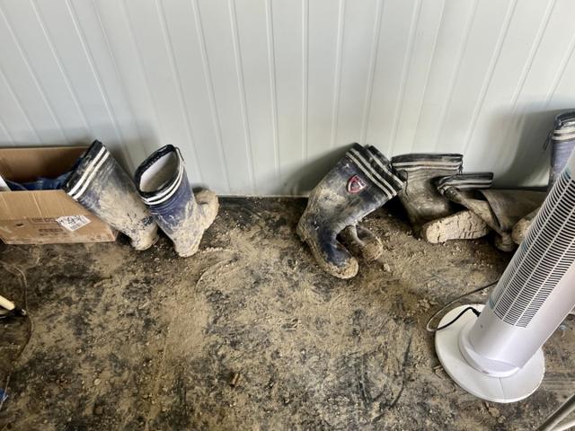 木白念什么姓氏好听,木白念什么姓氏最好听