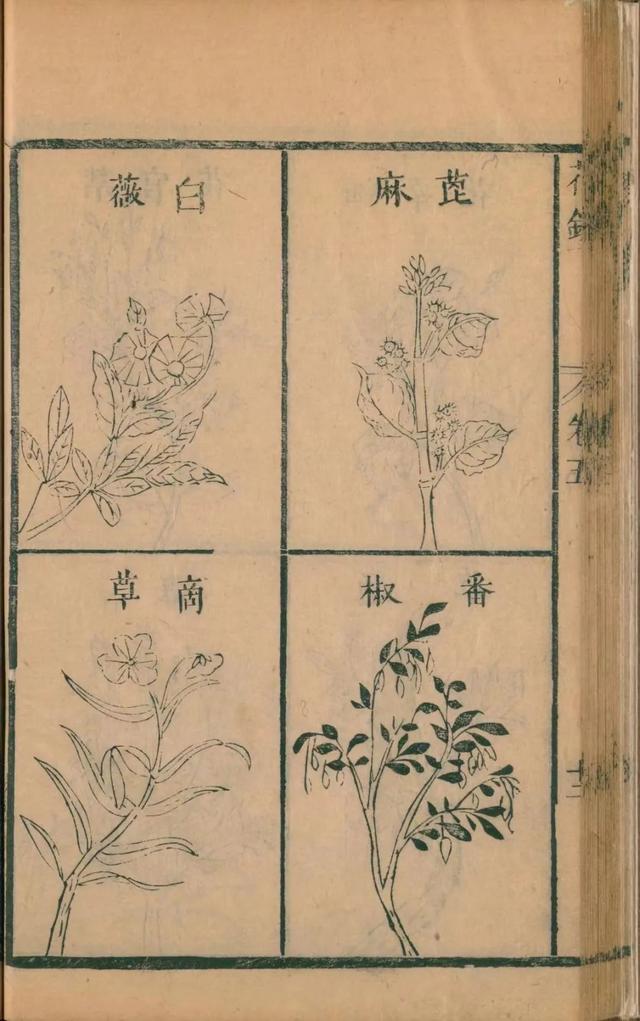 氨基酸五笔怎么打字,弋五笔怎么打