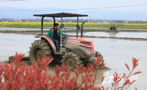 余加田读什么字,余加个田念什么