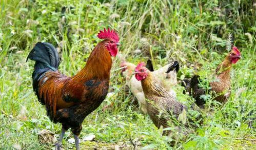 男科医院排名最好的医院,肿瘤医院全国排名一