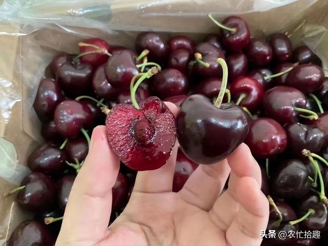 车厘子多少钱一斤现在市场价2022,车厘子多少钱一斤现在市场价2021