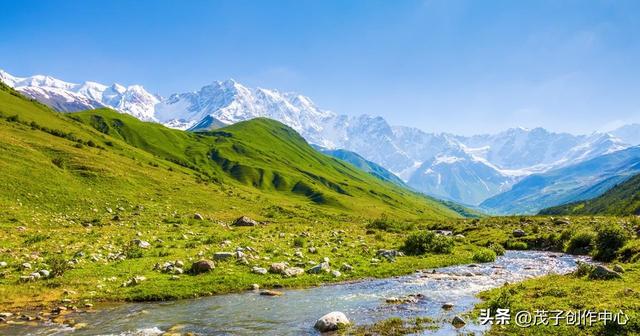 自信的作用政治七下,自信的作用政治七下几页