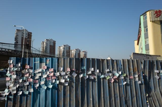 重金求子广告原文复制在线观看,重金求子广告原文_复制