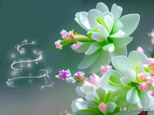 情有所归情有所依意思,心有所依情有所寄意思