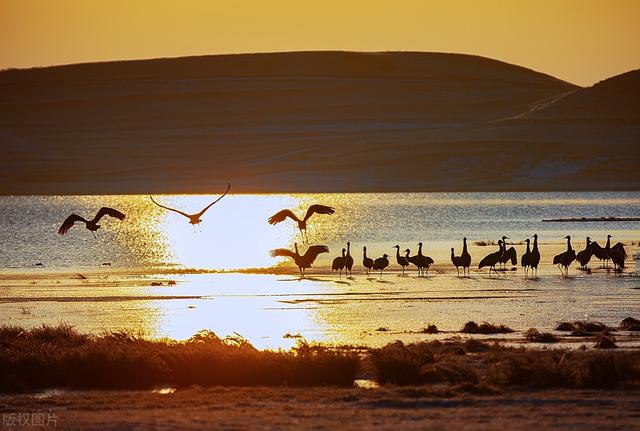 男生其实已经暗示了喜欢你,断联后男人熬不住的表现