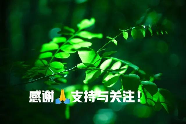 家用电器千万要去实体店买，京东和实体店的质量一样吗