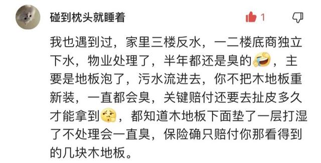 新楼盘二楼还存在下水管堵吗，二楼卫生间粪水倒灌解决办法