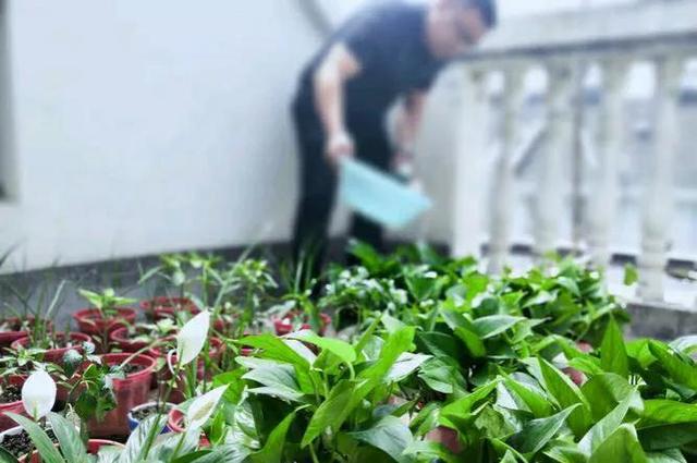 男科医院排名最好的医院,肿瘤医院全国排名一