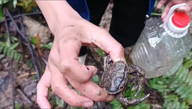 家访沟通情况_学生家庭情况_学生在家表现情况等,家访学生家庭基本情况怎么写更好