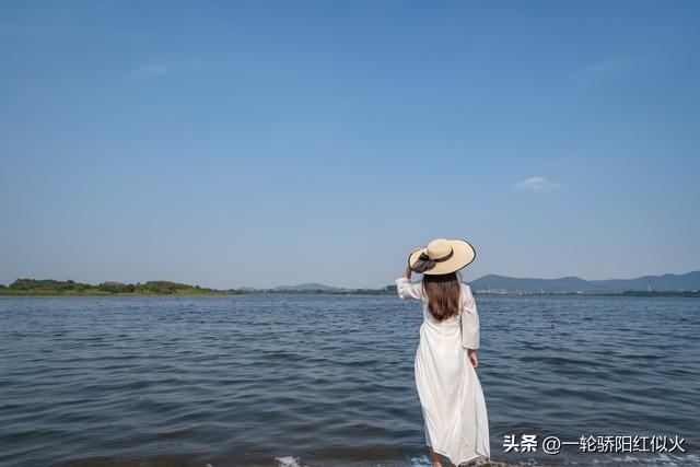 小说神王婿秦天苏酥全文免费阅读,水蜜桃