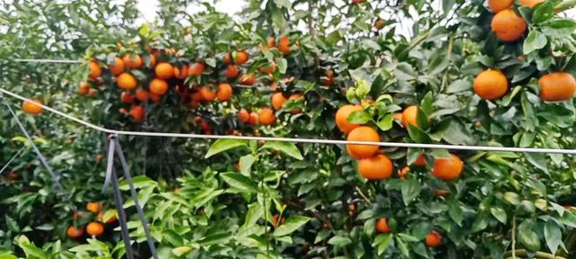 什么软件可以找客户资源,找客户的软件有哪些