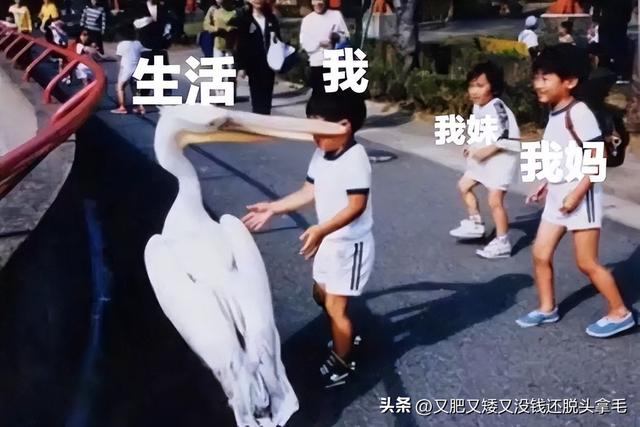 醍醐灌顶是什么意思,醍醐灌顶是什么意思解释