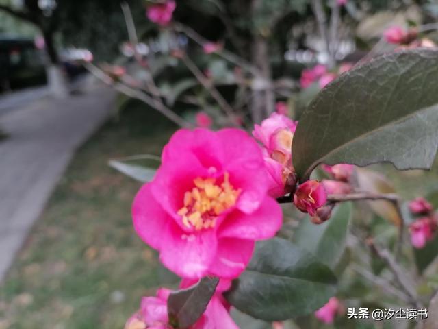 鲁滨逊第四次航行是去哪里，鲁滨逊第四次航行是去哪里遭遇飓风