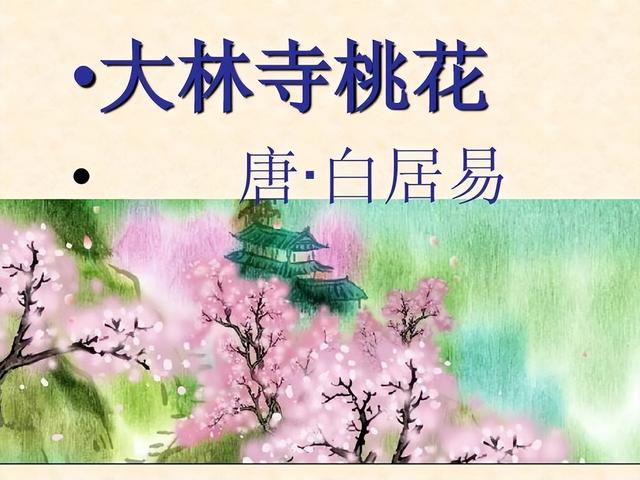 悟语学堂官网首页,悟语学堂官网登录
