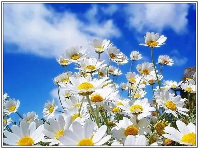 看了含妈量十足的视频，我居然不知道赵露思是谁