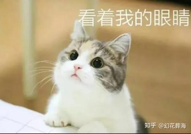 新手做采购员难做吗,新手做采购员难做吗知乎