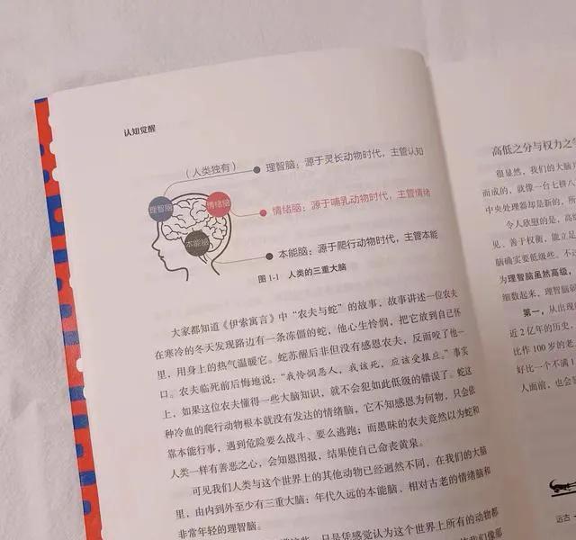 幼儿园课程认知目标,技能目标,情感目标,立定跳远认知目标,技能目标,情感目标