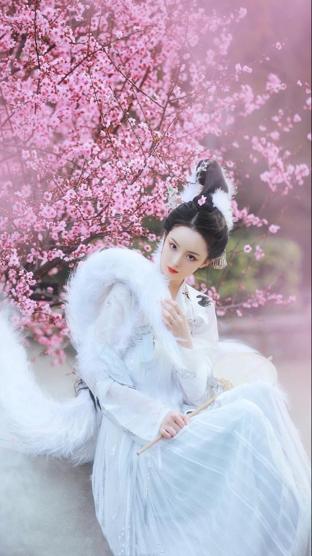 胖小狐木荒番外，胖小狐木荒