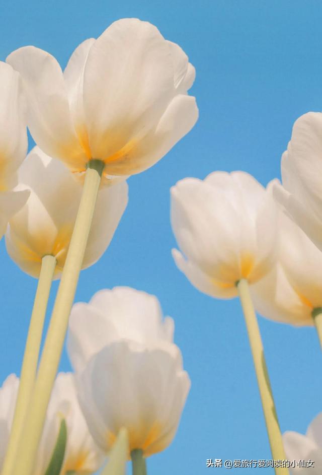 蚂蚁森林能量9.7kg怎么来的，每天3个296g能量怎么弄