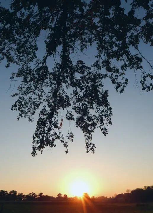 梦见别人过生日是什么意思周公解梦，梦见别人过生日是什么意思周公解梦女人