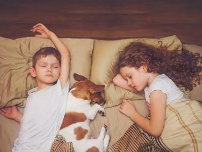 已婚女人梦见狗追咬是吉兆，女人梦见狗咬了是什么预兆