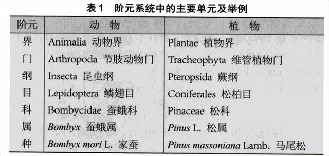 生物的分类思维导图简单，生物的分类思维导图高一