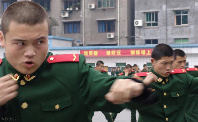 柳絮包子素馅做法大全，柳絮包子素馅做法大全视频