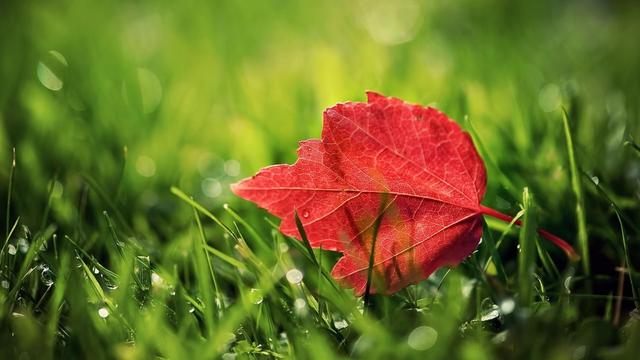 震悚的正确读音，震悚是什么意