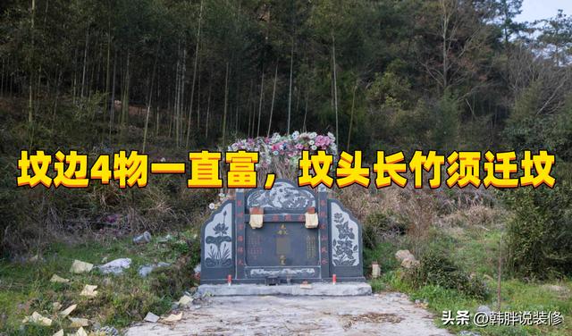 农村坟头栽什么树最好呢，农村坟头栽什么树最好图片