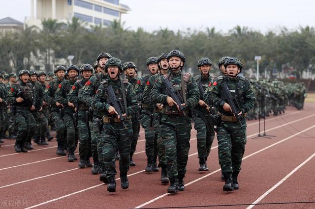 柳絮包子素馅做法大全，柳絮包子素馅做法大全视频