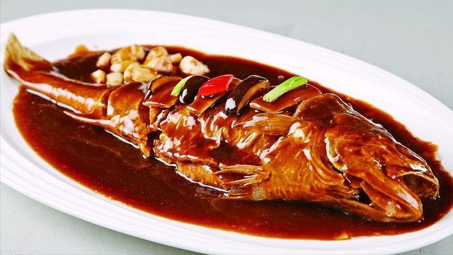 什么鱼好养_家庭养鱼，什么鱼好养_家庭养鱼冷水鱼